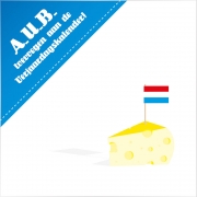 Geboortekaartje hollands kaas vlaggetjes jongens kaartje (3016)