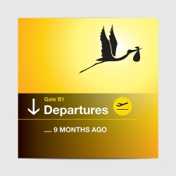 Geboortekaartje ooievaar vliegveld departures jongens kaartje (4050)